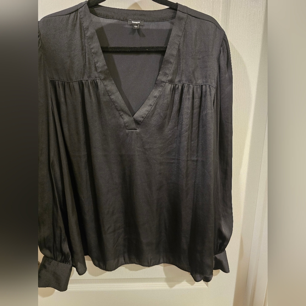 Express Black V-Neck Blouse